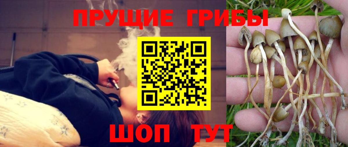Галлюциногенные грибы мицелий Звенигород