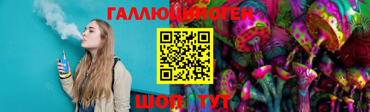 Псилоцибиновые грибы Psilocybe  Вход с VPN  Псилоцибиновые грибы мицелий  Звенигород 